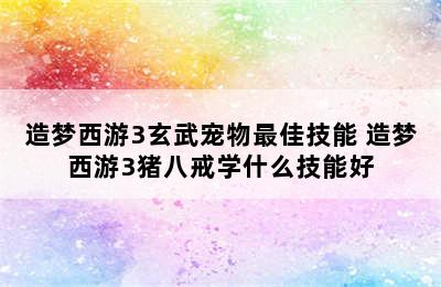 造梦西游3玄武宠物最佳技能 造梦西游3猪八戒学什么技能好